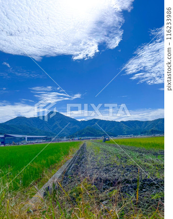 福井縣武生市寧靜的鄉村景觀 福井縣武生市寧靜的鄉村景觀 116233986