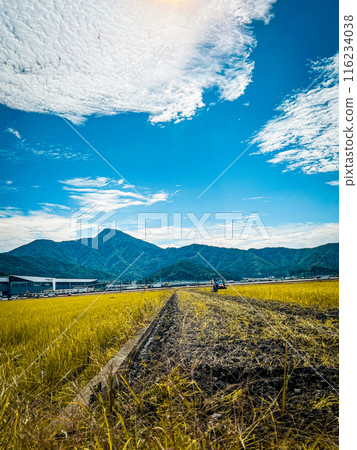 Vast rural landscape, Takefu, Fukui Prefecture 116234038