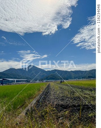 Vast rural landscape, Takefu, Fukui Prefecture 116234046