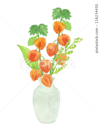 水彩畫的 Hozuki 托盤裝飾 116234450