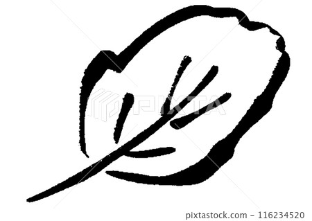 Brush-drawn leaf illustration 116234520