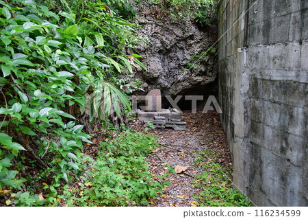 Mie Castle 23 Five Organs God 116234599