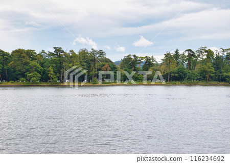 從觀光船上看到的天橋立(京都府宮津市) 從觀光船上看到的天橋立(京都府宮津市) 116234692