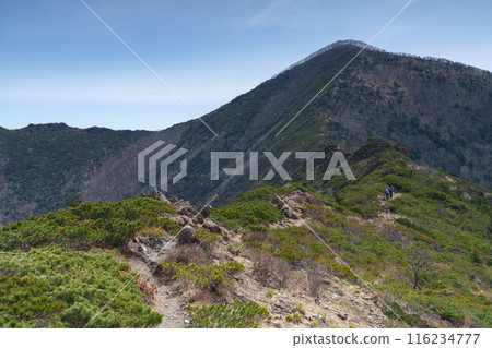 攀登阿波伊山、百花名山、北海道絕景 攀登阿波伊山、百花名山、北海道絕景 116234777