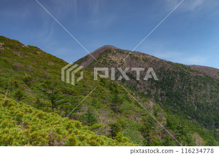 Climbing Mount Apoi: A spectacular view of Hokkaido's 100 famous flower mountains 116234778