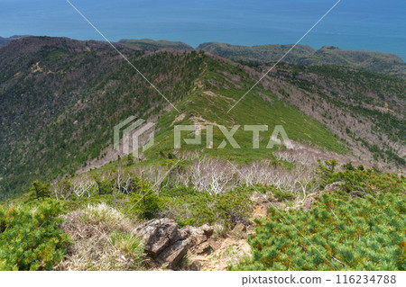 Climbing Mount Apoi: A spectacular view of Hokkaido's 100 famous flower mountains 116234788