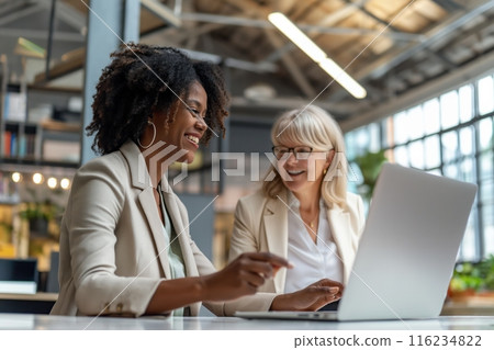 Businesswomen Discussing Laptop In Office 116234822