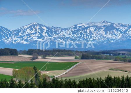 Biei Shinei Hill: Hokkaido's beautiful spring scenery in May 116234940