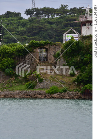 大物城06 116234997