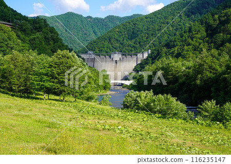 The embankment of the Satsunaigawa Dam as seen from the downstream plaza of the Satsunaigawa Dam 116235147