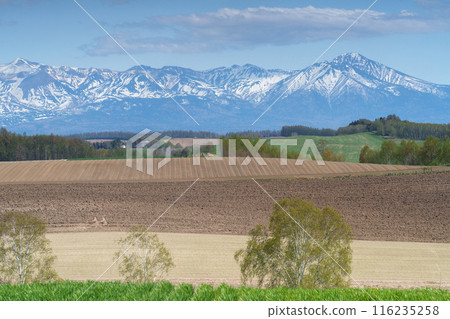 五月的美瑛～十勝山脈，田野上殘留著積雪 116235258