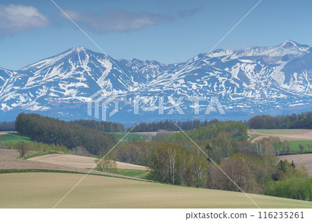 五月的美瑛～十勝山脈，田野上殘留著積雪 116235261
