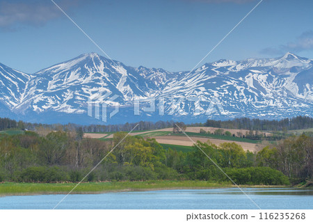 五月的美瑛~十勝山脈,田野上殘留著積雪 五月的美瑛~十勝山脈,田野上殘留著積雪 116235268