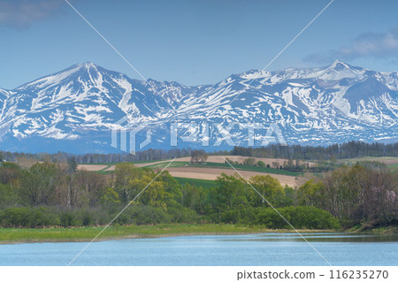 五月的美瑛~十勝山脈,田野上殘留著積雪 五月的美瑛~十勝山脈,田野上殘留著積雪 116235270