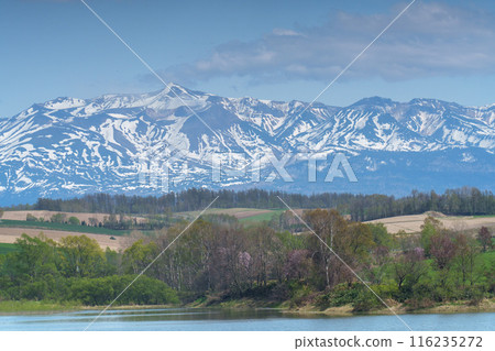 Biei: Snow-covered Tokachi mountain range seen through fields in May 116235272