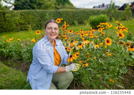 Gardener planting seedling of flower plant in into soil at vegetable garden. Young woman farm worker gardening flowers in garden. Gardener planting flowers for bouquet. Summer gardening work. Girl 116235448