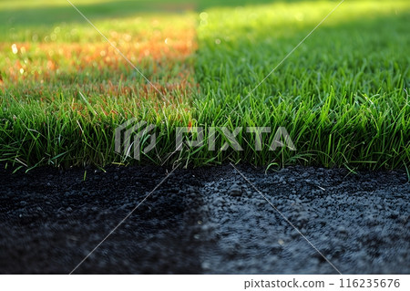 Lush Green Grass vs. Dry Brown Lawn: Nature's Contrast for Garden Landscaping Inspiration Generative AI 116235676