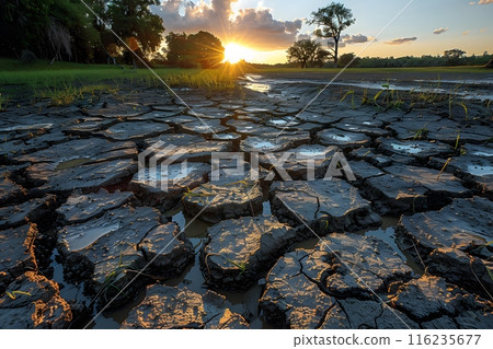 Stunning Sunset Over Drought-Stricken Landscape Highlighting Cracked Earth and Clinging Vegetation Generative AI 116235677