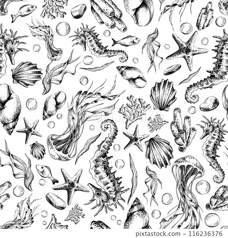 Seahorse and jellyfish with shells, corals, fish, algae and bubbles. Marine illustration of the underwater world hand drawn in black ink graphically. Vector seamless pattern in EPS 116236376