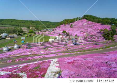 東藻琴芝櫻公園 - 五月北海道初夏的壯麗景色 116236486