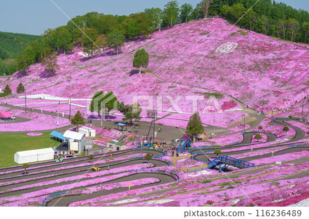 東藻琴芝櫻公園 - 五月北海道初夏的壯麗景色 116236489