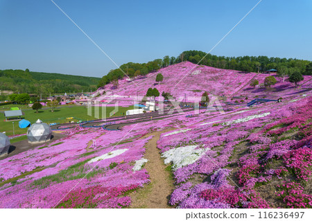 東藻琴芝櫻公園 - 五月北海道初夏的壯麗景色 116236497