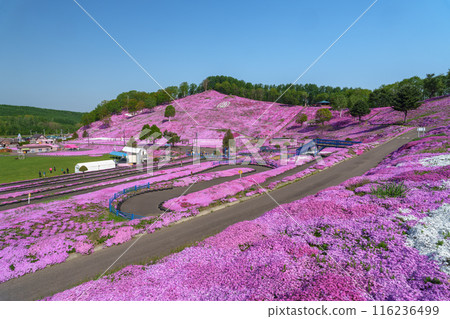 東藻琴芝櫻公園 - 五月北海道初夏的壯麗景色 116236499