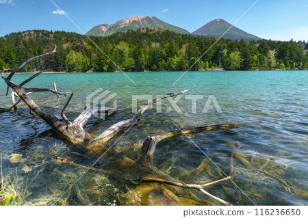 Akan National Park, Onneto: A spectacular view of Hokkaido in early summer, Eastern Hokkaido 116236650