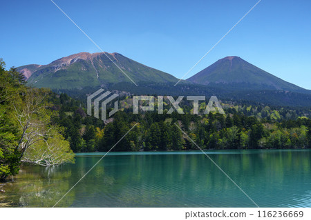 阿寒國立公園/Onneto - 初夏北海道的壯麗景色 - 北海道東部 116236669