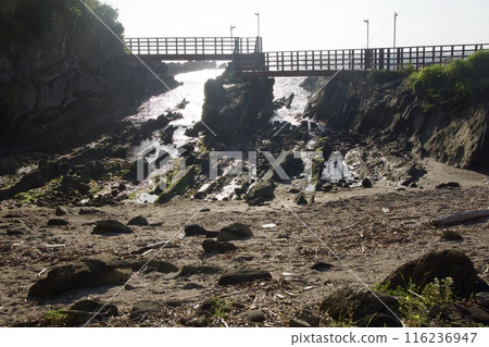 Spring scenery of Jogashima 116236947