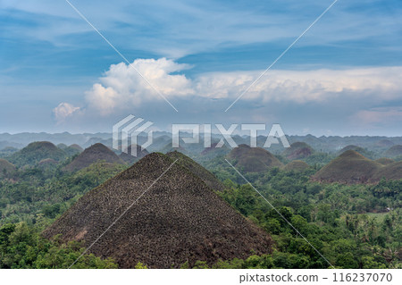 保和島巧克力山 保和島巧克力山 116237070
