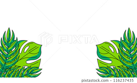 Summer horizontal banner, frame of tropical leaves at the bottom corners with space for text. Monstera leaf, jungle plant. Botanical background for poster, flyer, invitation, postcard, party or event. 116237435
