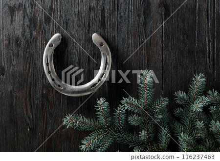 Old horseshoe and spruce branches on a wooden background. 116237463