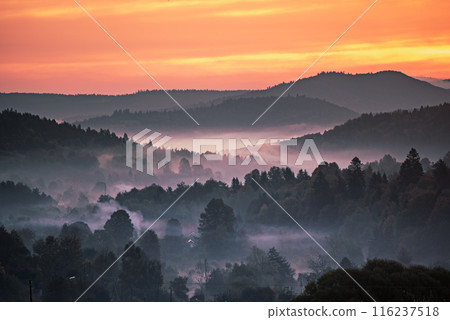 Morning mountain landscape 116237518