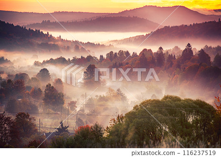 Morning mountain landscape 116237519