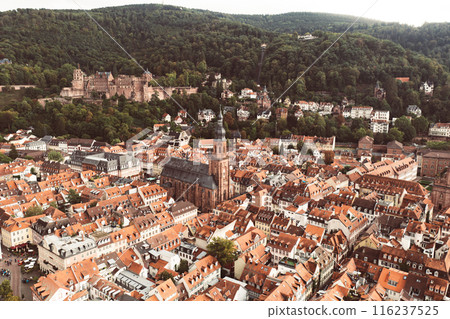 View of Heidelberg 116237525