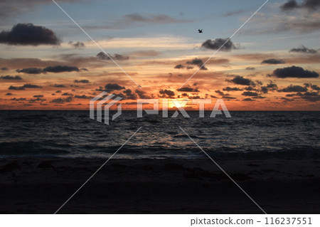 Beautiful Cloudscape, Dramatic Landscape, Seascape, Sunrise Sky Over The Sea Beautiful Cloudscape, Dramatic Landscape, Seascape, Sunrise Sky Over The Sea 116237551