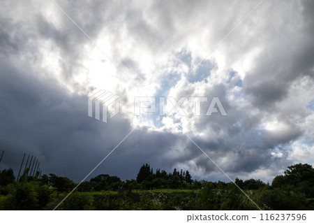 Takizawa City, Iwate Prefecture, sunny weather during the rainy season, no rain Takizawa City, Iwate Prefecture, sunny weather during the rainy season, no rain 116237596