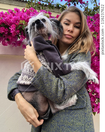 Beautiful young woman with a dog in her arms on a background of flowers. Beautiful girl with a dog on a background of pink flowers Beautiful young woman with a dog in her arms on a background of flowers. Beautiful girl with a dog on a background of pink flowers 116237622