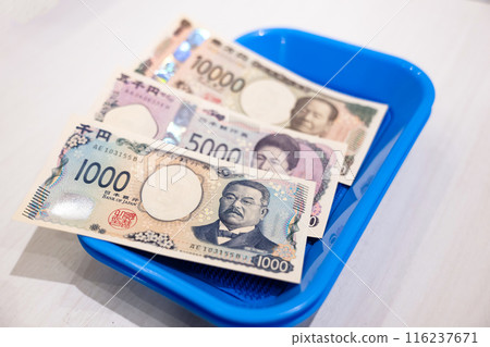 放在托盤上的鈔票 放在托盤上的鈔票 116237671