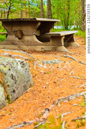 Camp site with picnic table in norwegian park 116238339