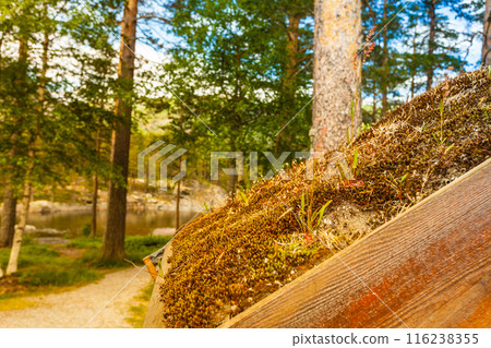 Norwegian house with grass roof Norwegian house with grass roof 116238355
