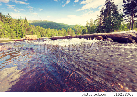 Beautiful view of mountain river in summer 116238363