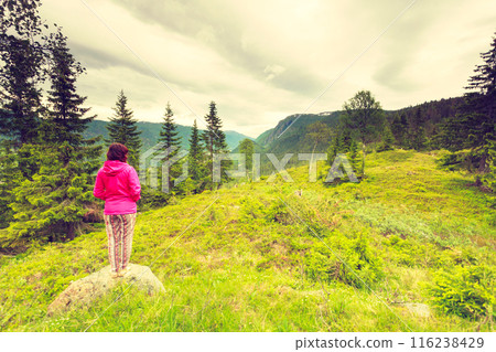 Tourist woman enjoying mountains landscape in Norway. Tourist woman enjoying mountains landscape in Norway. 116238429