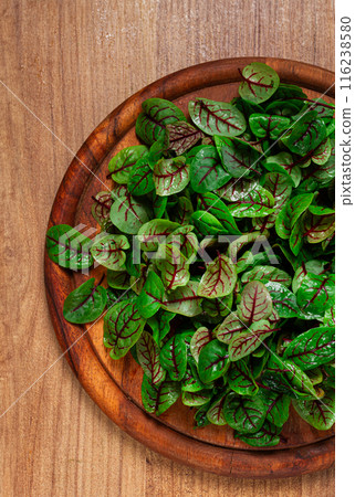 sorrel bloody Mary, fresh baby sorrel leaves, with red veins, micro-greens, on a plate, 116238580