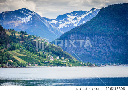 Mountains landscape and fjord in Norway 116238808