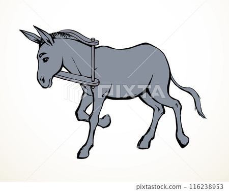 Vector drawing. Cute old mule 116238953