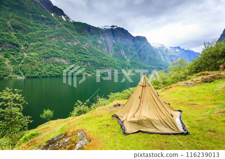 Mountains landscape and fjord in Norway 116239013