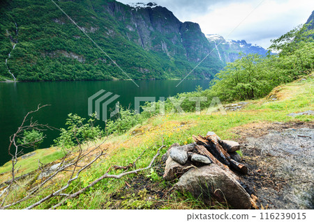 Mountains landscape and fjord in Norway 116239015