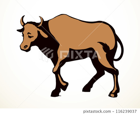Vector drawing. Cute big cow 116239037